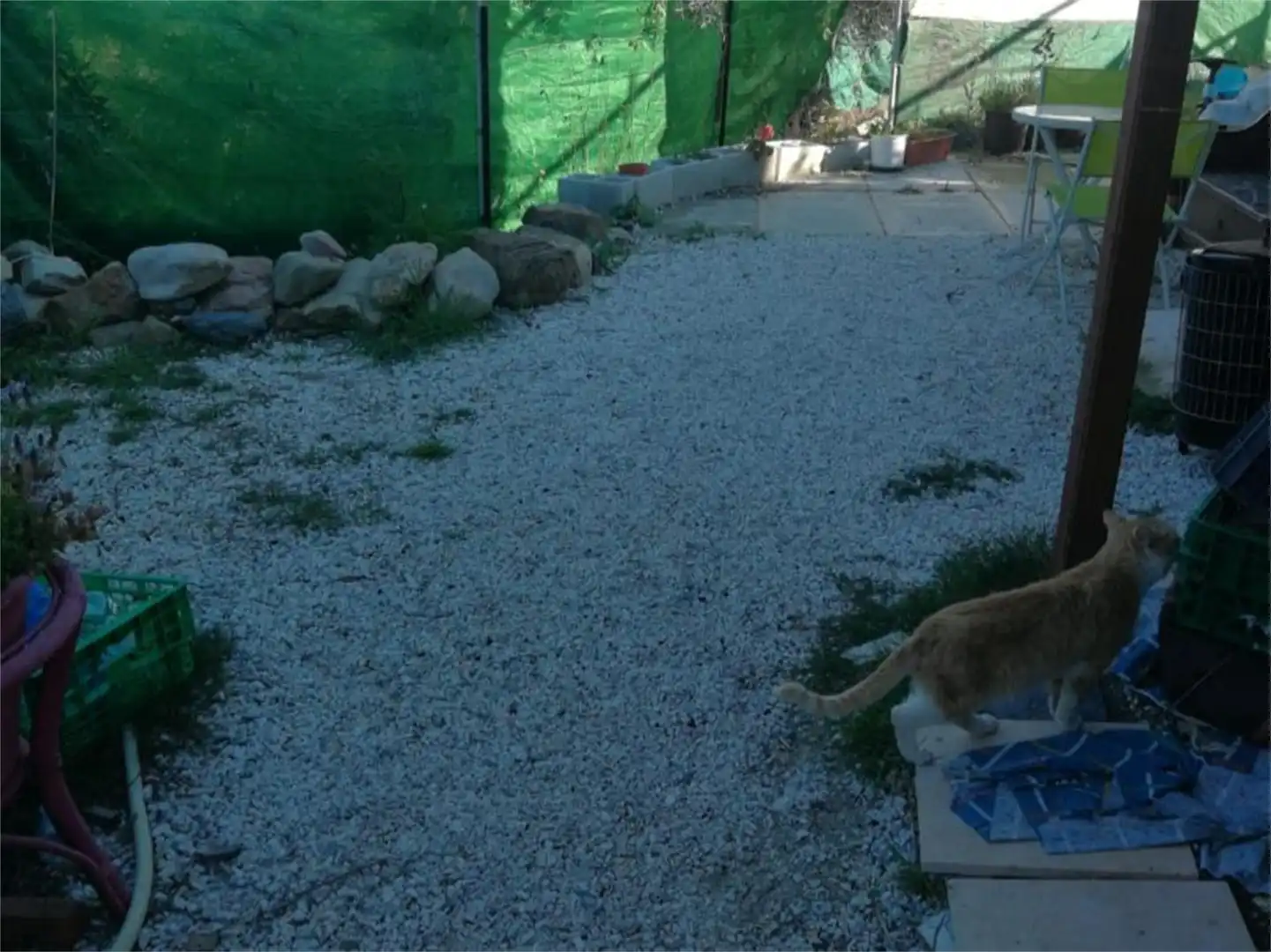 Finca rústica en venta en Carretera de Coín a Cartama, Cártama pueblo Jardín de Finca rústica en venta en Cártama