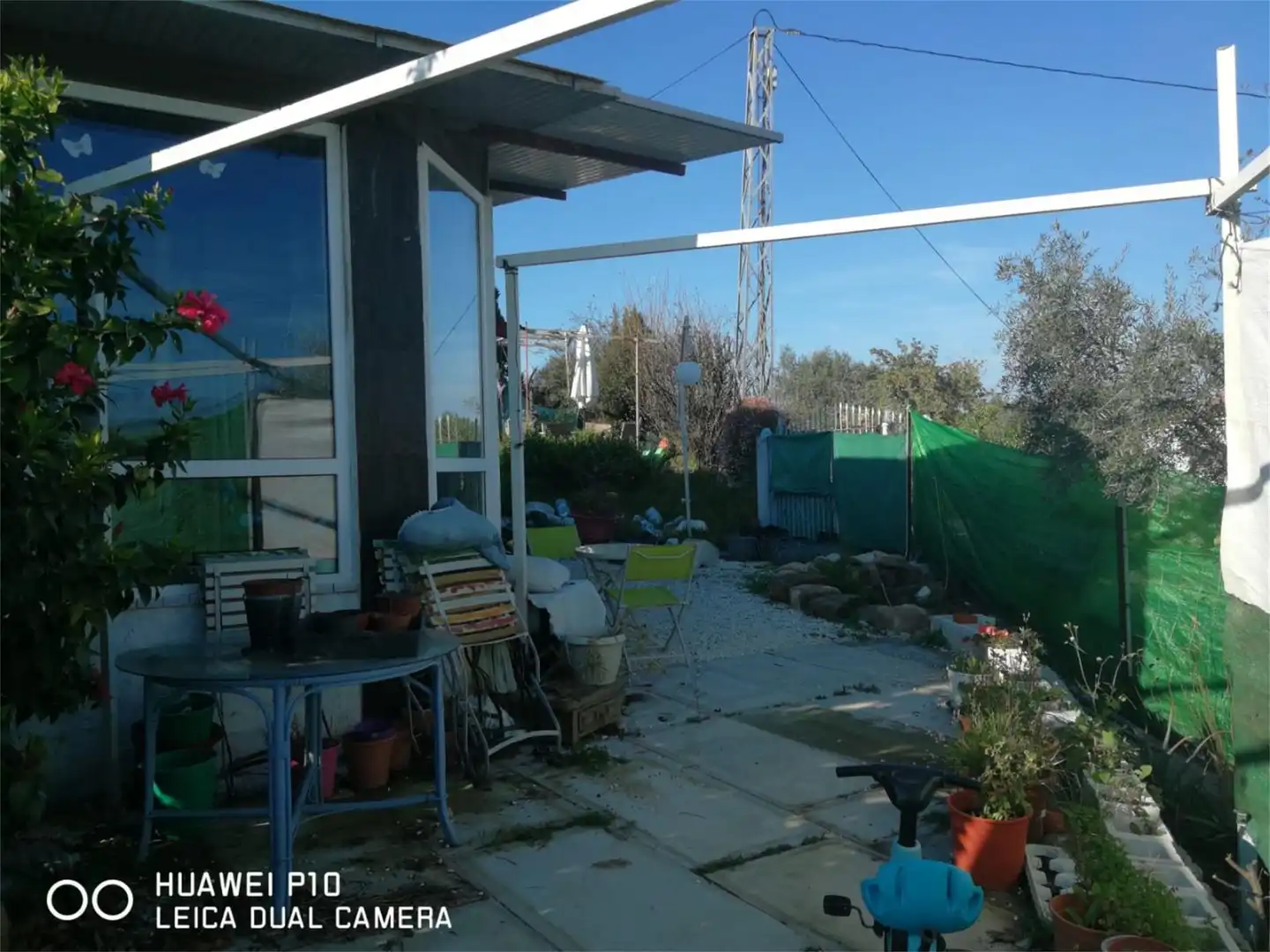 Finca rústica en venta en Carretera de Coín a Cartama, Cártama pueblo Jardín de Finca rústica en venta en Cártama