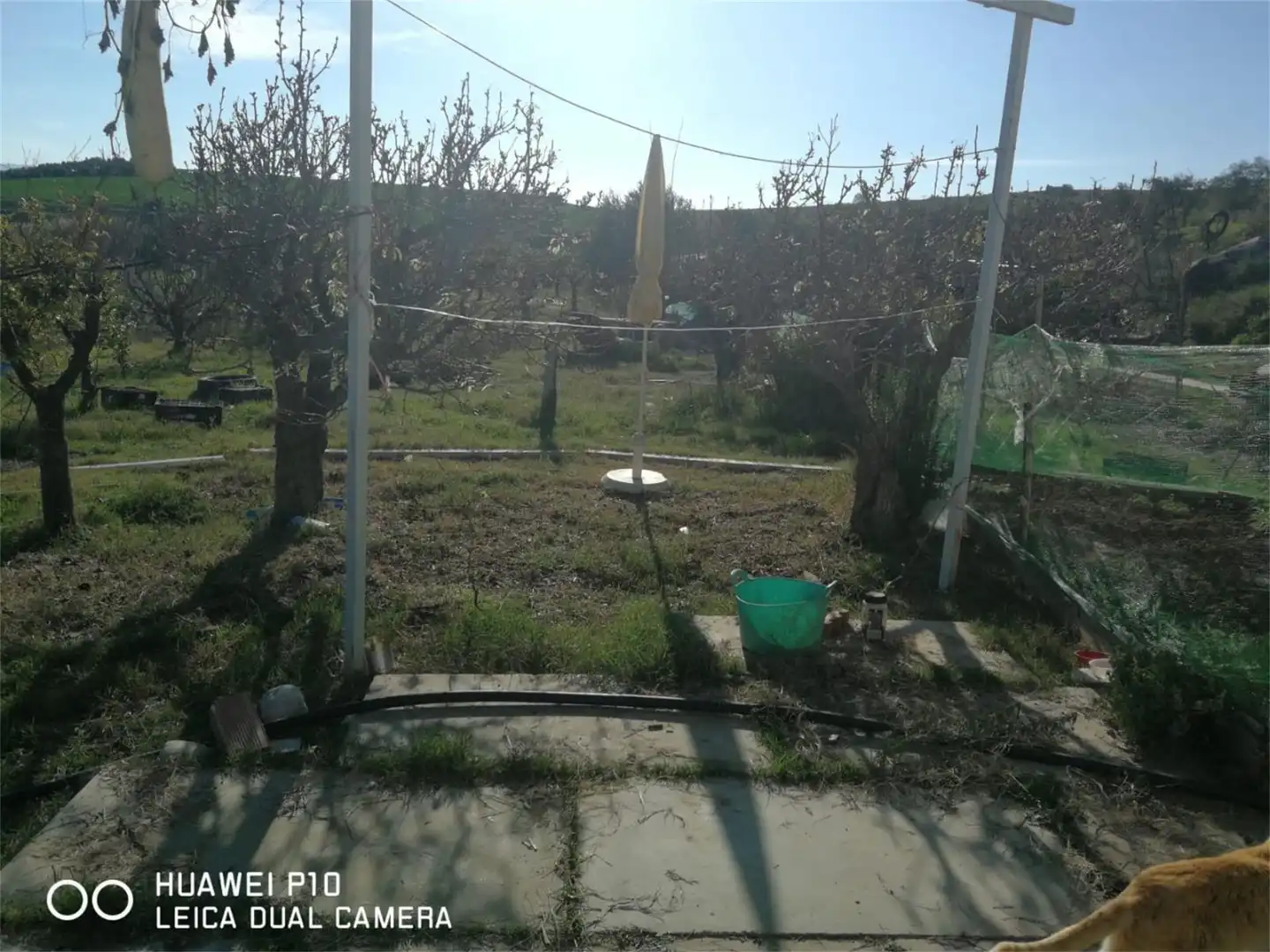Finca rústica en venta en Carretera de Coín a Cartama, Cártama pueblo Finca rústica en venta en Cártama