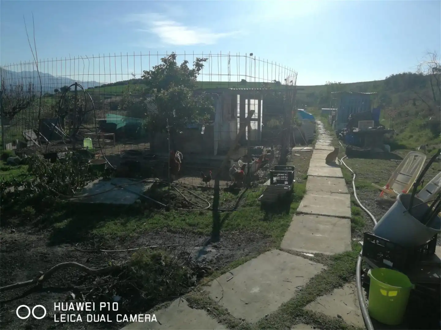 Finca rústica en venta en Carretera de Coín a Cartama, Cártama pueblo Finca rústica en venta en Cártama
