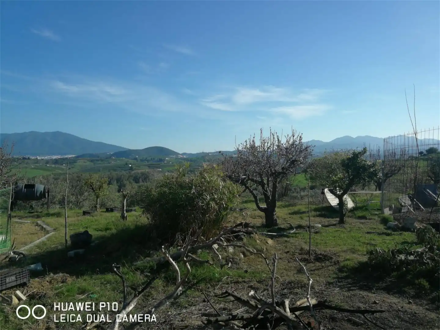 Finca rústica en venta en Carretera de Coín a Cartama, Cártama pueblo Finca rústica en venta en Cártama
