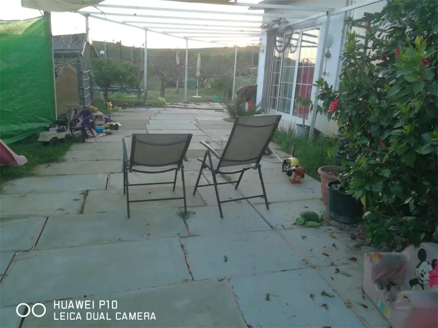 Finca rústica en venta en Carretera de Coín a Cartama, Cártama pueblo Terraza de Finca rústica en venta en Cártama