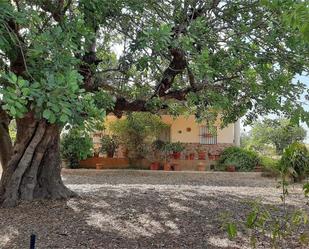 Vista exterior de Casa o xalet en venda en Cheste amb Aire condicionat i Terrassa