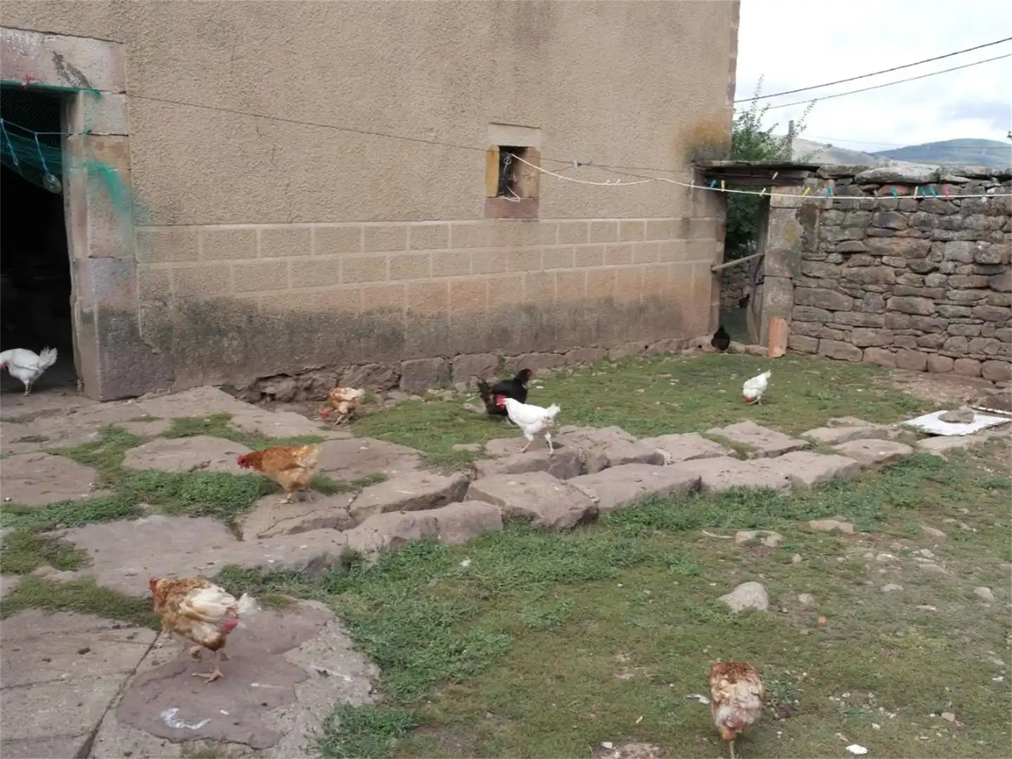 Finca rústica en venda a Ca-834, Valdeolea Jardí de Finca rústica en venda en Valdeolea