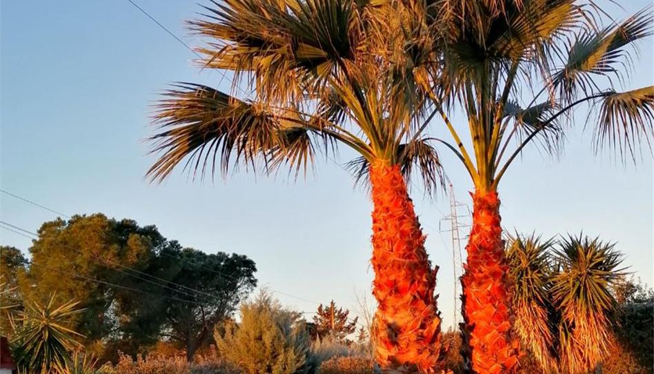 Casa o xalet en venda a Urbanización Dehesilla de Calamón, 36, Dehesilla de Calamón - Campomanes, Badajoz - imatge 1 Foto 1 de Casa o xalet en venda a Urbanización Dehesilla de Calamón, 36, Dehesilla de Calamón - Campomanes, Badajoz