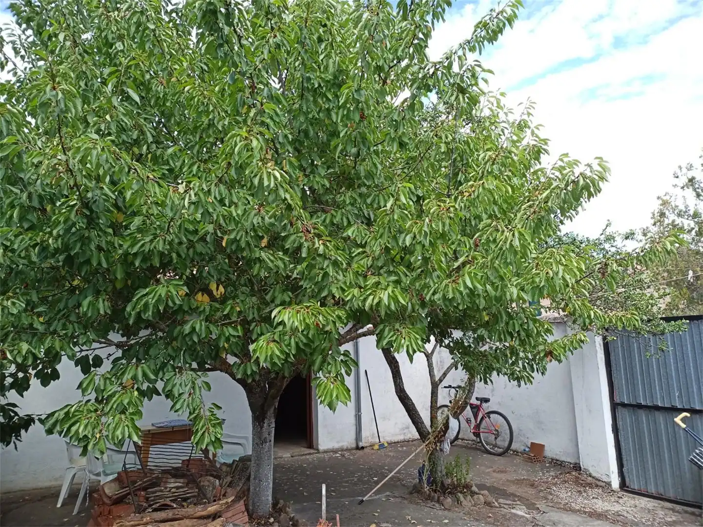 Casa o xalet en venda a Calle Orán, 29, Calahorra de Boedo Jardí de Casa o xalet en venda en Calahorra de Boedo amb Calefacció, Jardí privat i Traster