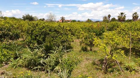House or chalet for sale in Avenida Doctor Fabián Escribano Moreno, 44, Beniaján, Murcia - image 5 Photo 5 of House or chalet for sale in Avenida Doctor Fabián Escribano Moreno, 44, Beniaján, Murcia