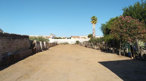 Bebaubares Gelände zum Verkauf in Calle Calvario, 76, Bollullos de la Mitación, Sevilla - Bild 4 Foto 4 von Bebaubares Gelände zum Verkauf in Calle Calvario, 76, Bollullos de la Mitación, Sevilla
