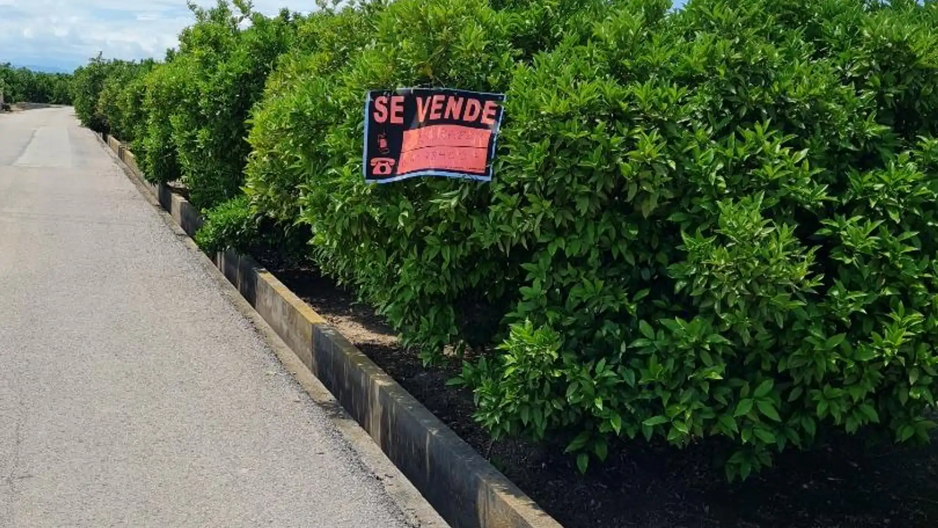 Terreno en venta en Urbanitzacions i Pedanies Nord Vista exterior de Terreno en venta en Alzira