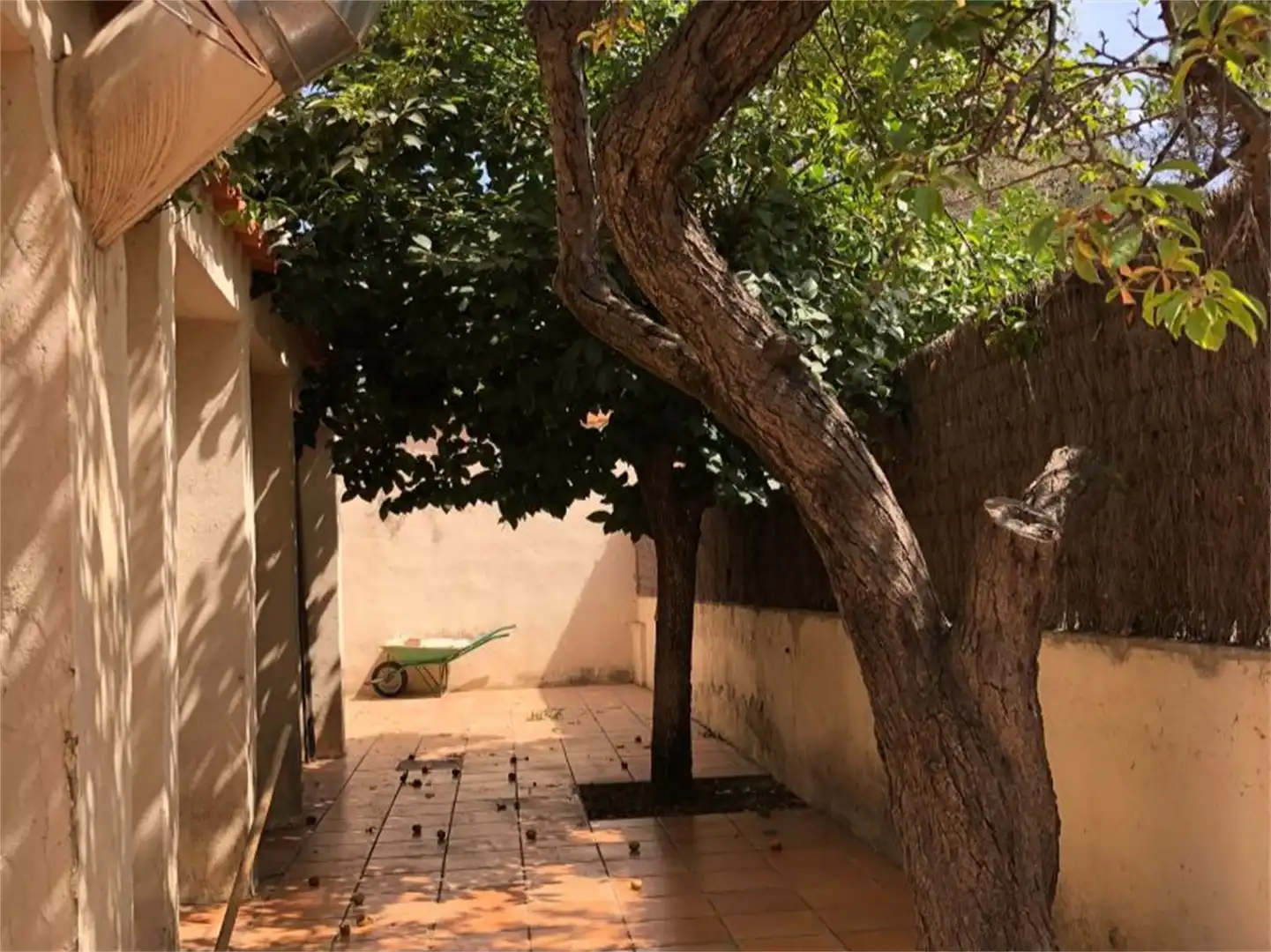 Constructible Land for sale in Carretera de Castellbisbal, Castellbisbal Garden of Constructible Land for sale in Castellbisbal