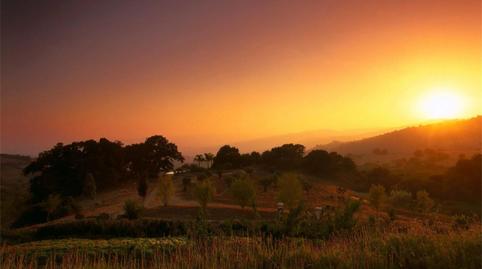Finca rústica en venda a Calle Luis de Armiñán, Gaucín, Málaga - imatge 3 Foto 3 de Finca rústica en venda a Calle Luis de Armiñán, Gaucín, Málaga