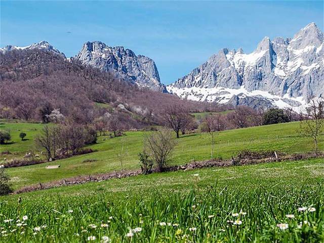 Terreno en Venta en Barrio Tanarrio, 2 en Camaleño