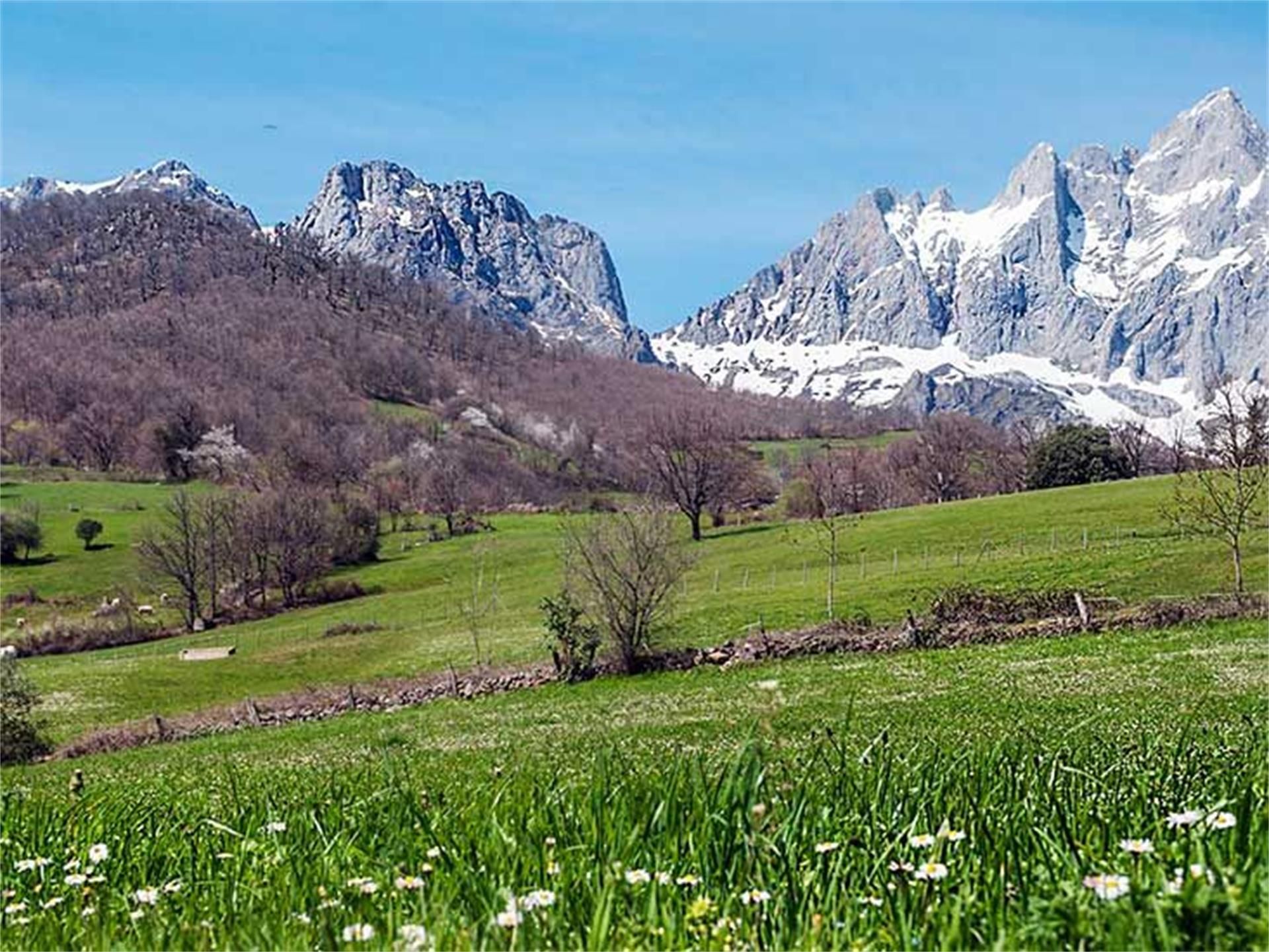 Land for sale in Barrio Tanarrio, 2, Camaleño Land for sale in Camaleño