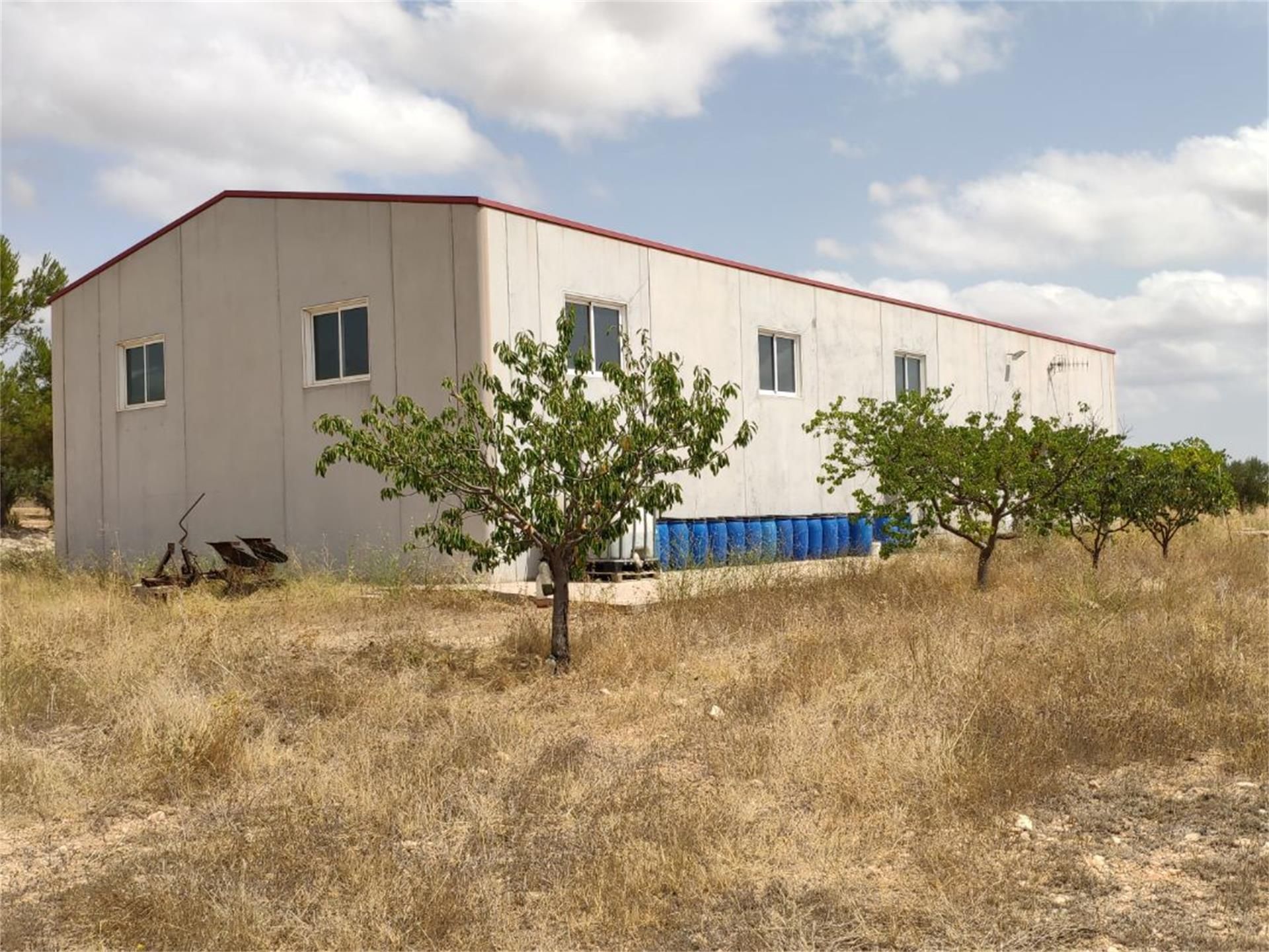 Exterior view of Country house for sale in Almansa  with Private garden, Terrace and Storage room