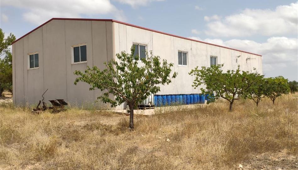 Country house for sale in Almansa, Albacete - image 1 Photo 1 of Country house for sale in Almansa, Albacete