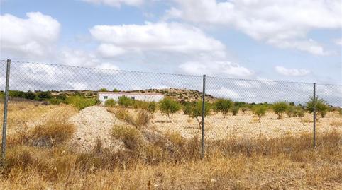 Country house for sale in Almansa, Albacete - image 2 Photo 2 of Country house for sale in Almansa, Albacete