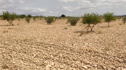 Country house for sale in Almansa, Albacete - image 5 Photo 5 of Country house for sale in Almansa, Albacete