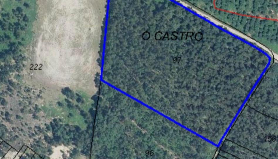 Non-constructible Land for sale in Arealonga, Pontevedra - image 1 Photo 1 of Non-constructible Land for sale in Arealonga, Pontevedra