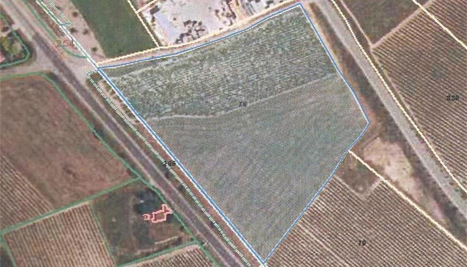 Land for sale in Lanciego / Lantziego, Araba - Álava - image 1 Photo 1 of Land for sale in Lanciego / Lantziego, Araba - Álava