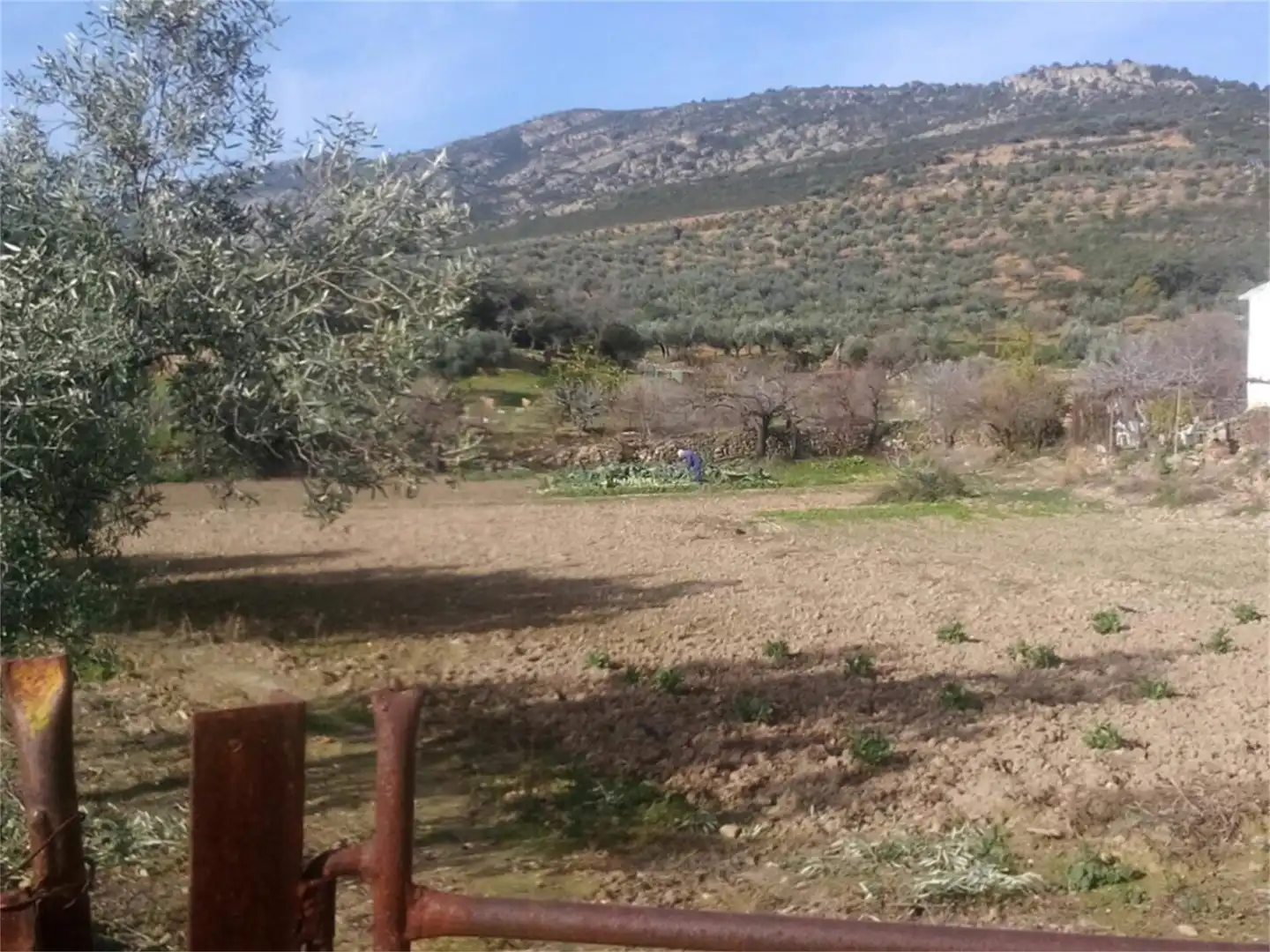 Finca rústica en venda a Avenida Nuestra Señora de Belén, Cabeza del Buey Vista exterior de Finca rústica en venda en Cabeza del Buey