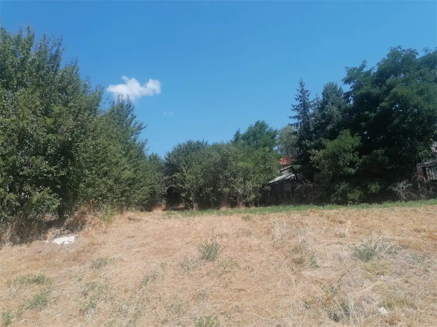 Terreno en venta en Abejar