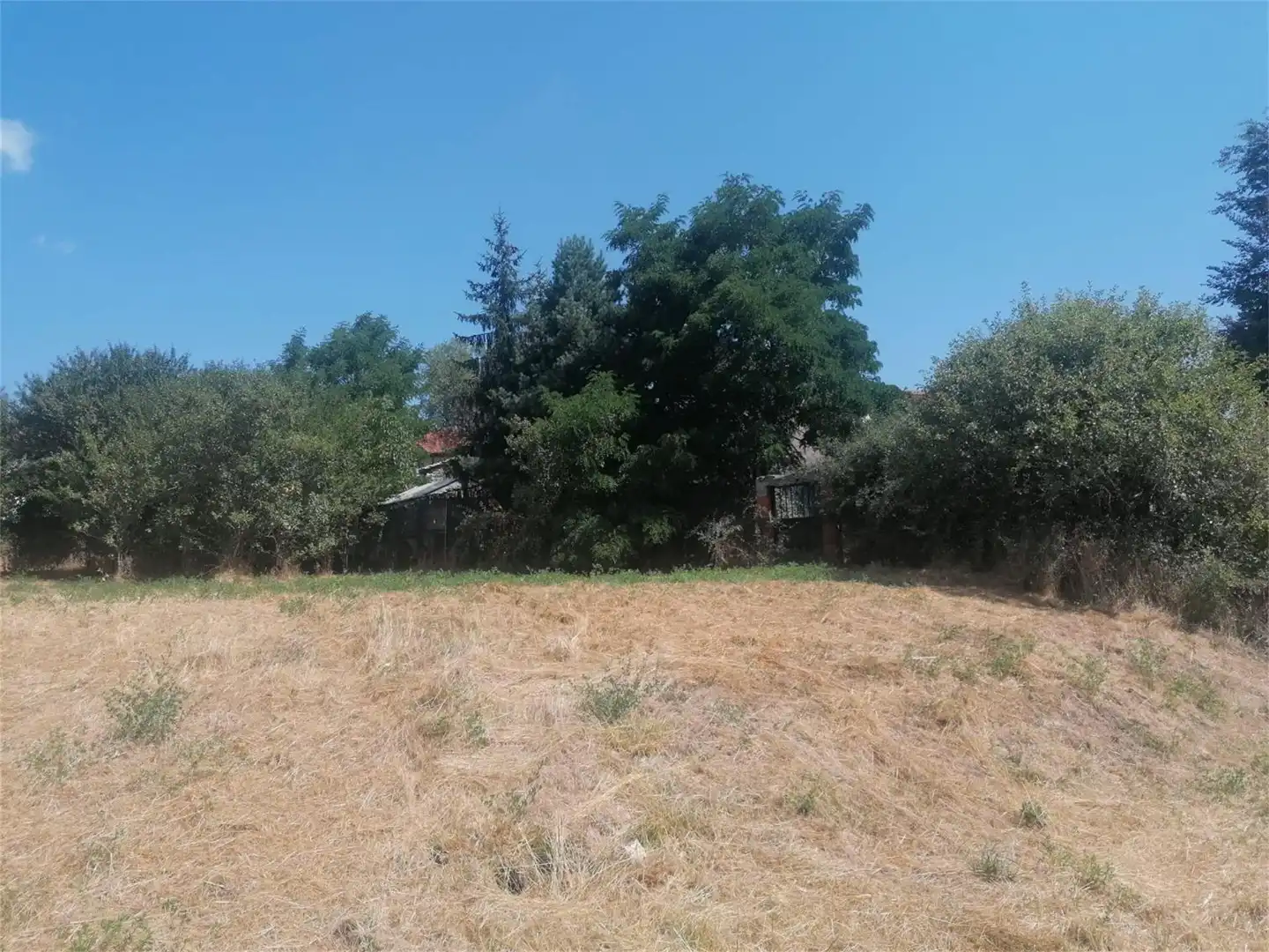 Terreno en venta en Abejar
