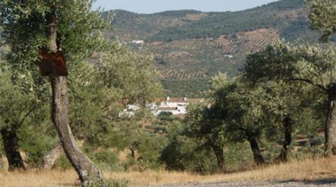 Photo 2 of Country house for sale in Plaza de Andalucía, Espiel, Córdoba