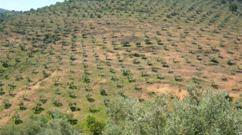 Photo 3 of Country house for sale in Plaza de Andalucía, Espiel, Córdoba
