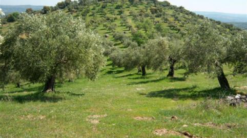 Photo 4 of Country house for sale in Plaza de Andalucía, Espiel, Córdoba