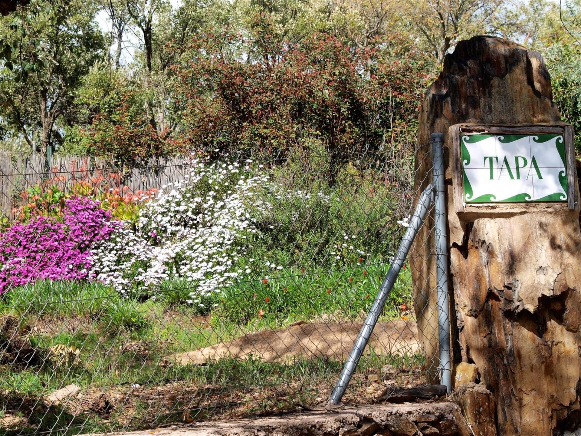 Finca rústica en venda a Camino Aceña de la Borrega, Valencia de Alcántara