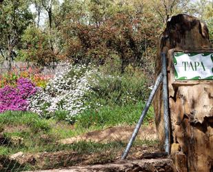 Vista exterior de Finca rústica en venda en Valencia de Alcántara amb Aire condicionat i Piscina