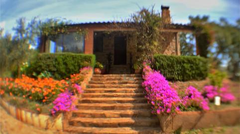 Foto 2 de Finca rústica en venda a Camino Aceña de la Borrega, Valencia de Alcántara, Cáceres