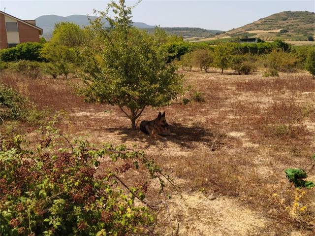 Terreno no urbanizable en Venta en Sorzano