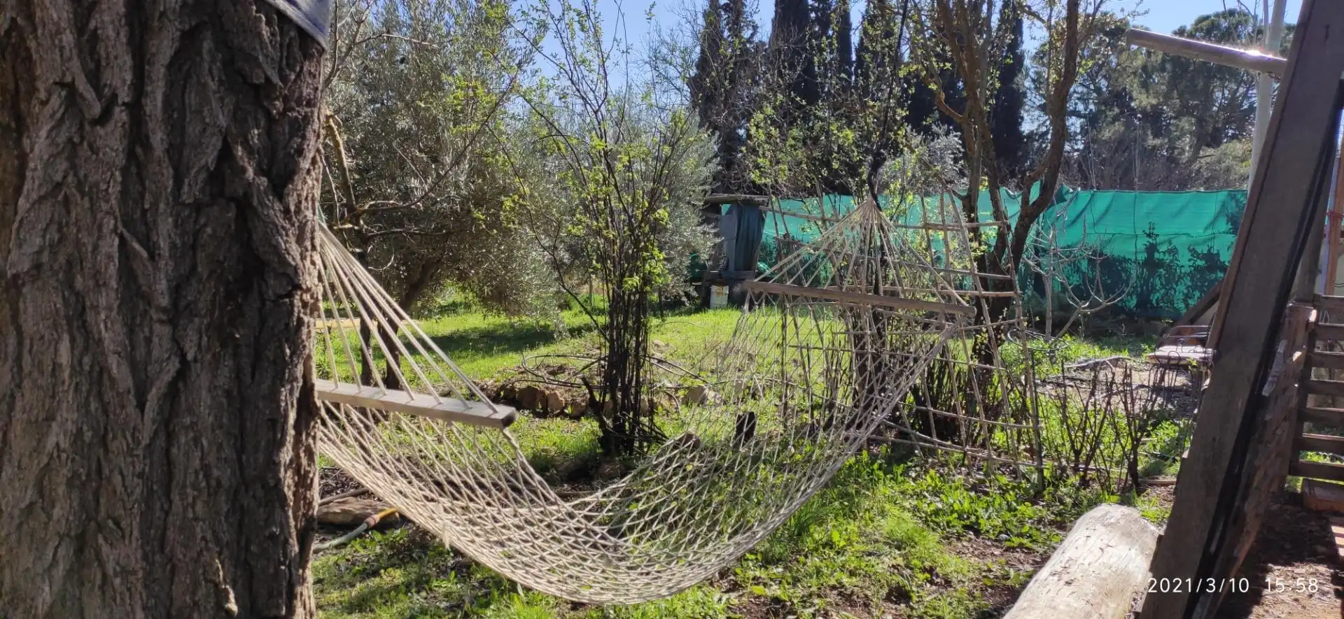 Finca rústica en venta en Calle de la Feria, Carrión de Calatrava