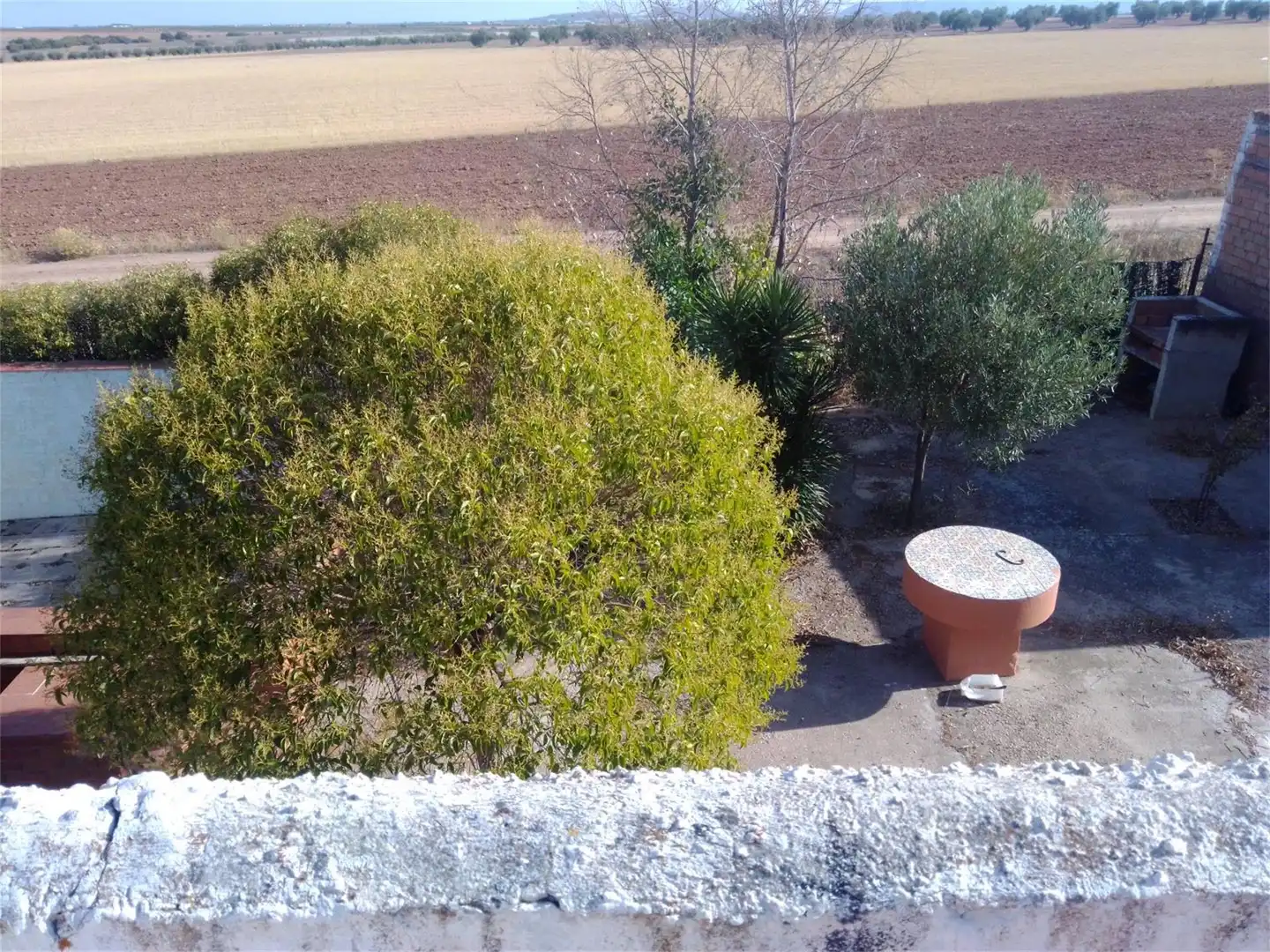 Jardí de Casa o xalet en venda en Villafranca de los Caballeros amb Terrassa i Piscina