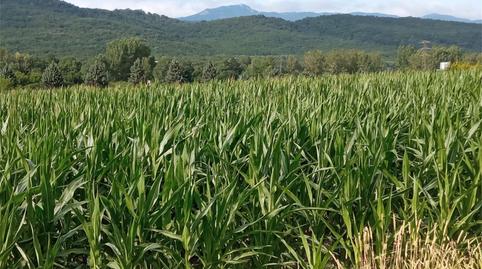 Terreny en venda a Calle Celai, Altsasu / Alsasua, Navarra - imatge 2 Foto 2 de Terreny en venda a Calle Celai, Altsasu / Alsasua, Navarra