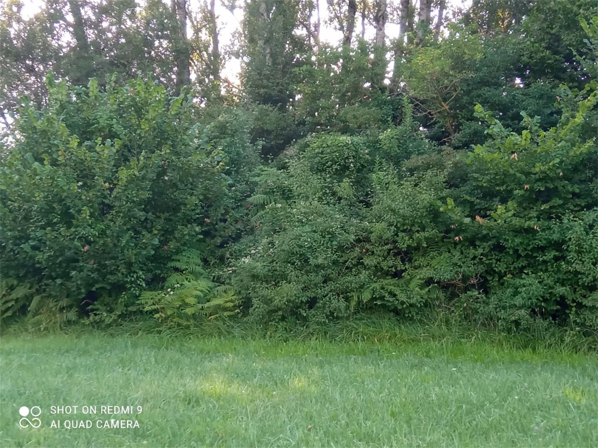 Exterior view of Land for sale in Altsasu / Alsasua