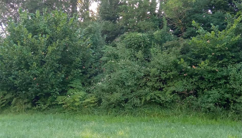 Terreny en venda a Calle Celai, Altsasu / Alsasua, Navarra - imatge 1 Foto 1 de Terreny en venda a Calle Celai, Altsasu / Alsasua, Navarra