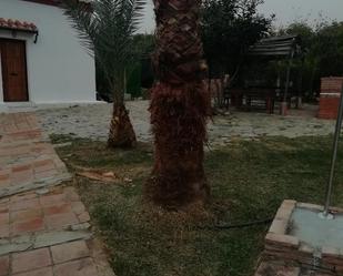 Jardí de Casa o xalet de lloguer en Frigiliana amb Aire condicionat, Terrassa i Piscina