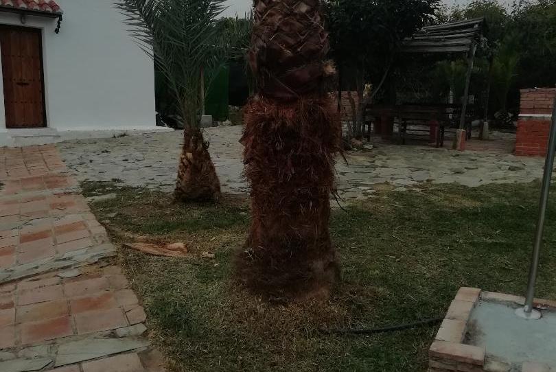 House or chalet to rent in Frigiliana, Málaga - image 1 Photo 1 of House or chalet to rent in Frigiliana, Málaga