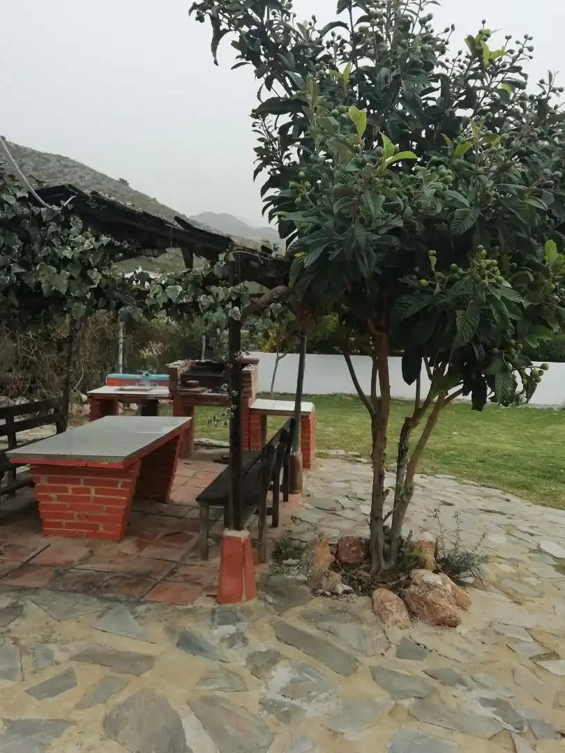 Jardín de Casa o chalet de alquiler en Frigiliana con Aire acondicionado, Calefacción y Jardín privado