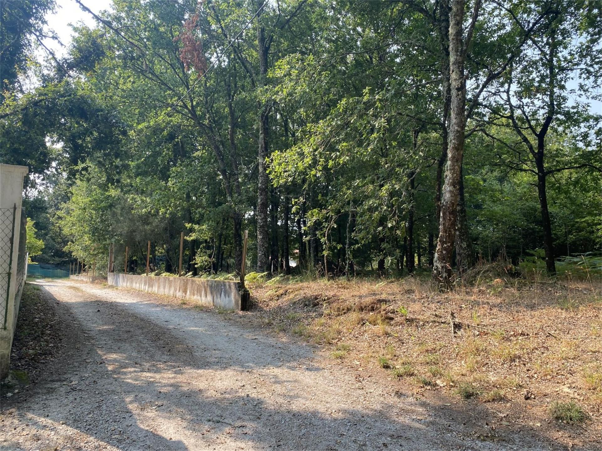 Constructible Land for sale in Amoeiro