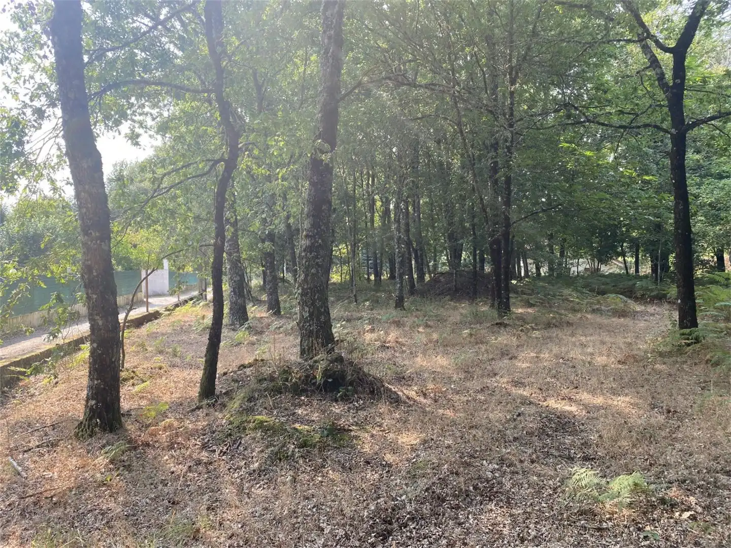 Bebaubares Gelände zum Verkauf in Amoeiro Bebaubares Gelände zum Verkauf in Amoeiro