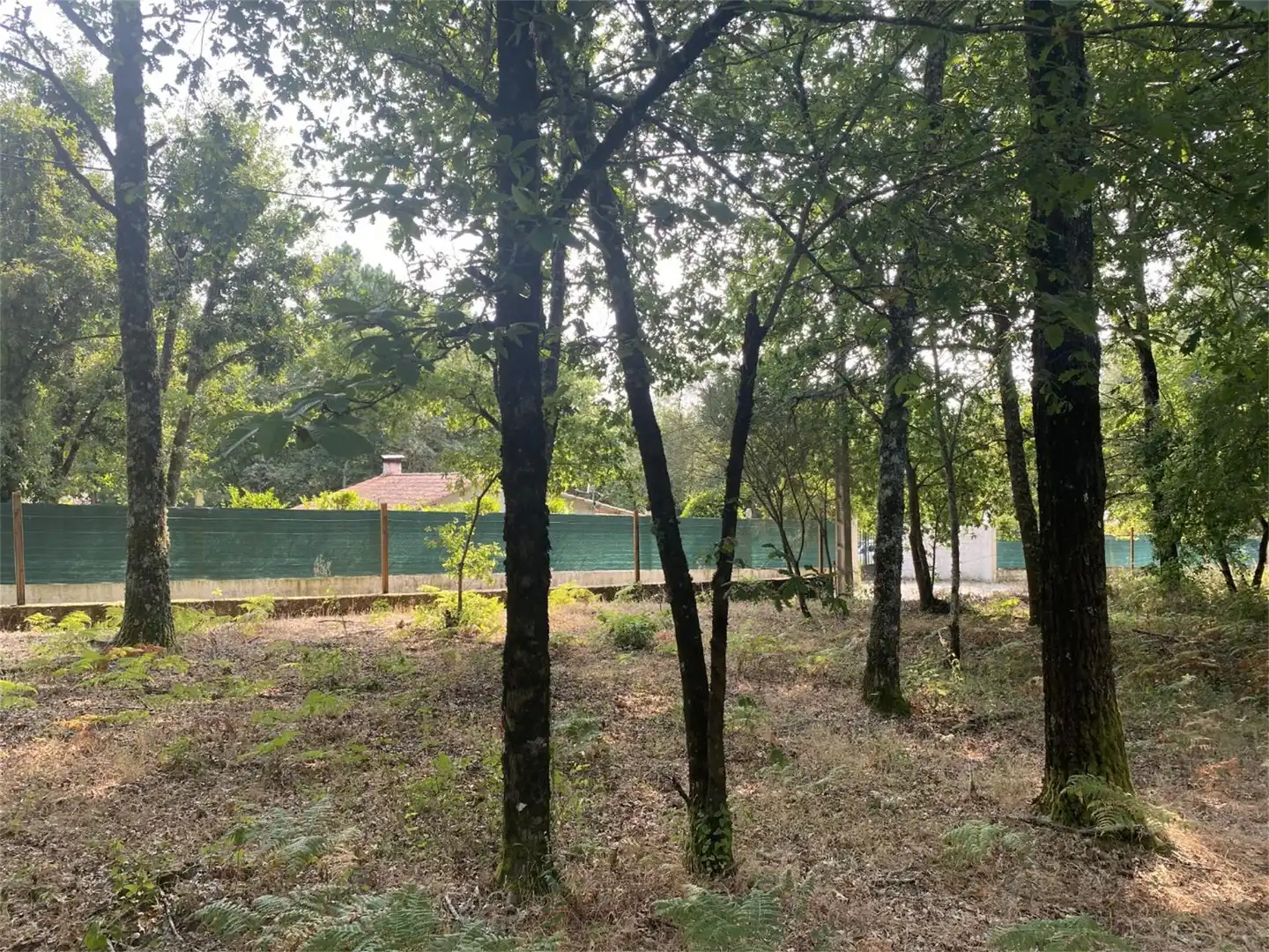 Bebaubares Gelände zum Verkauf in Amoeiro Bebaubares Gelände zum Verkauf in Amoeiro