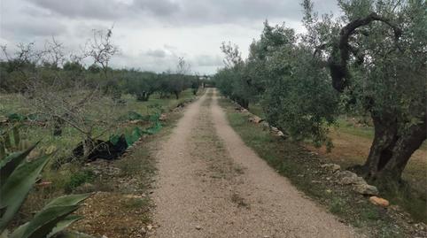 Foto 2 de Casa o xalet en venda a Avinguda Marítima Ramón Pous, L'Ampolla, Tarragona