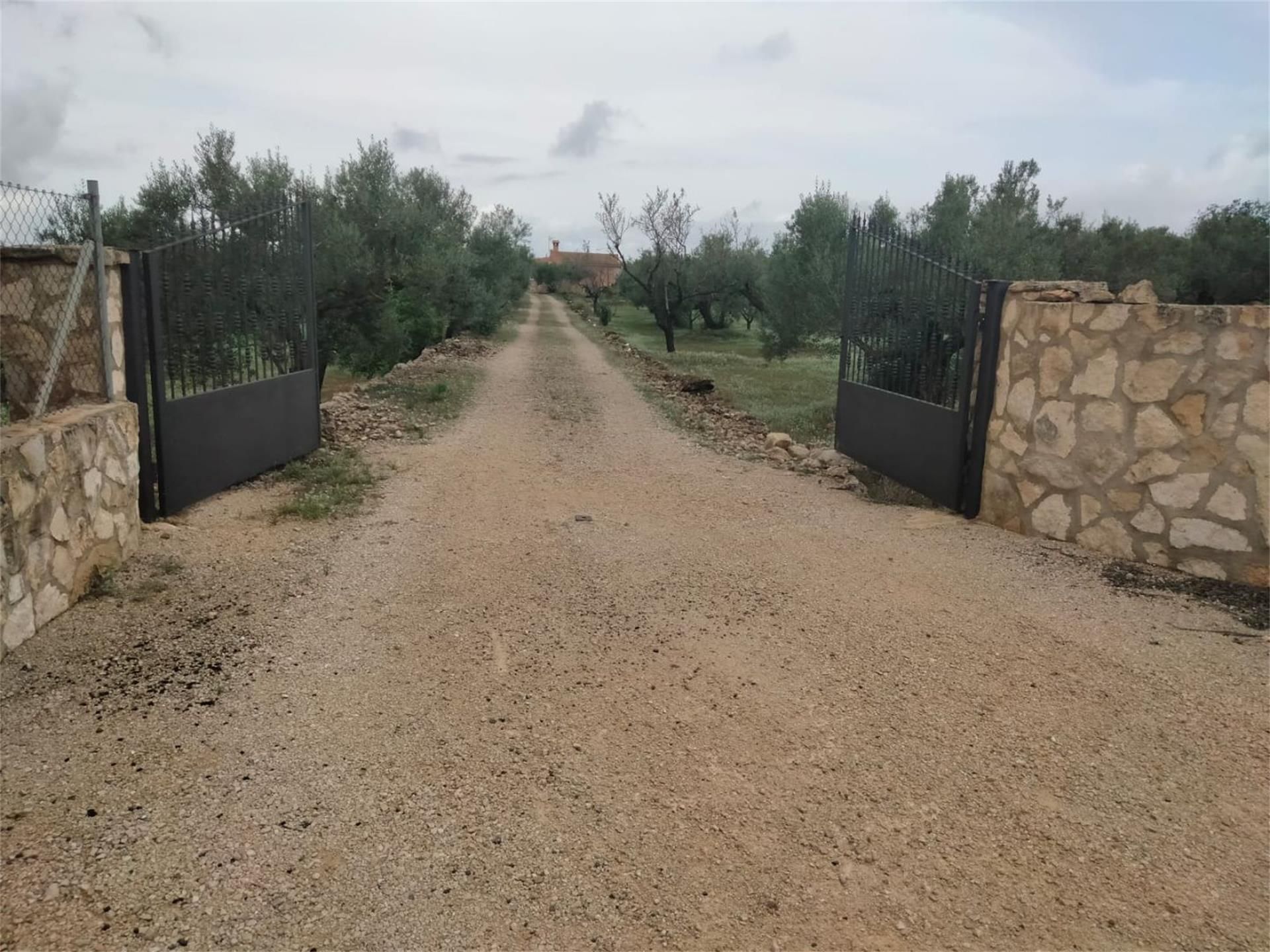 Vista exterior de Casa o xalet en venda en L'Ampolla amb Jardí privat, Moblat i Forn