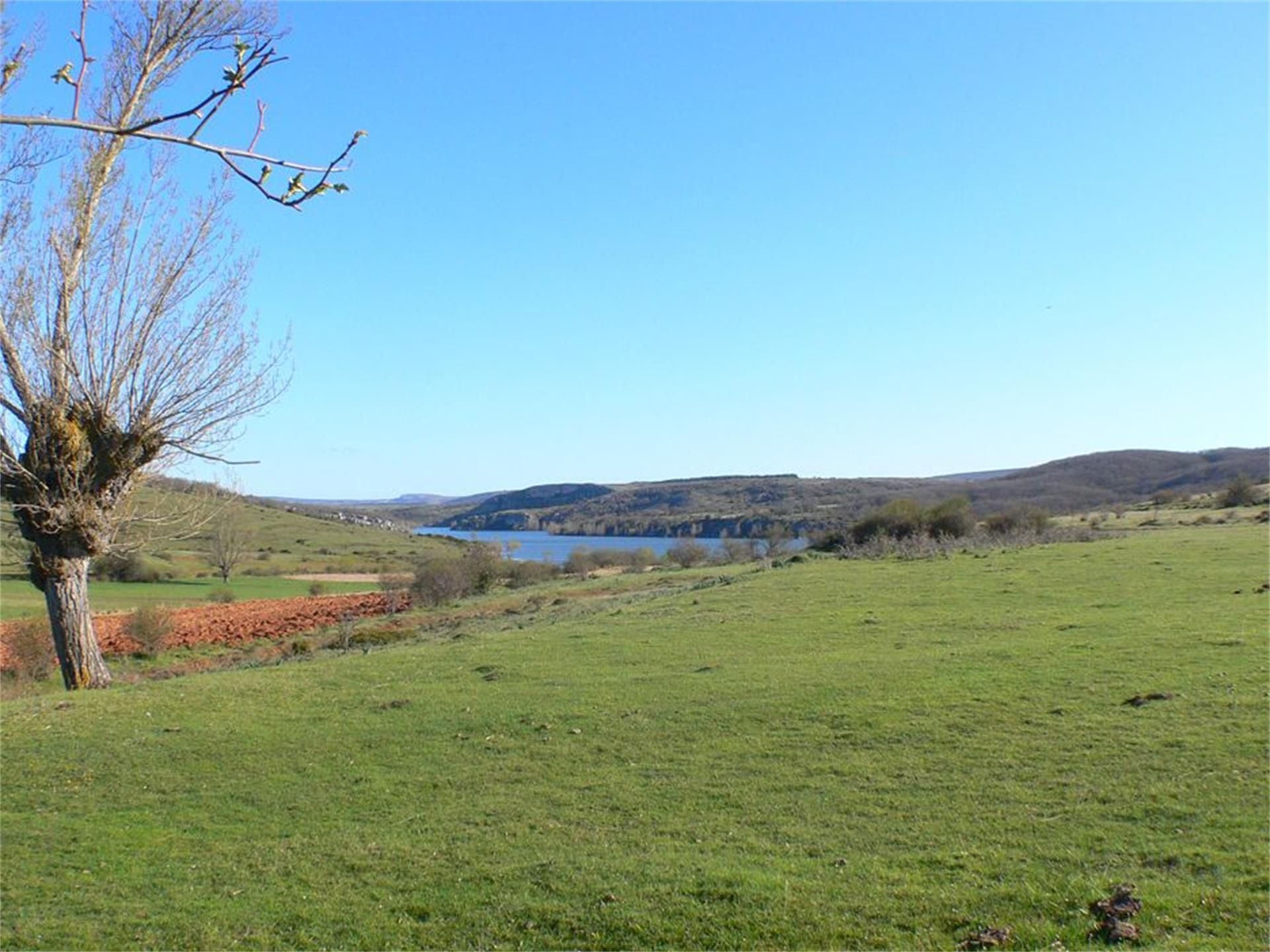 Land for sale in Salinas de Pisuerga
