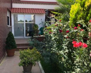 Exterior view of Single-family semi-detached for sale in Venta de Baños  with Terrace