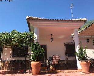 Garden of Country house for sale in La Peza