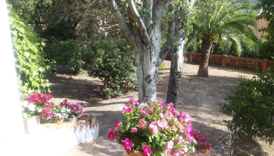 Casa adosada en venta en Calle Barrera, 13, Biar, Alicante - imagen 1 Foto 1 de Casa adosada en venta en Calle Barrera, 13, Biar, Alicante